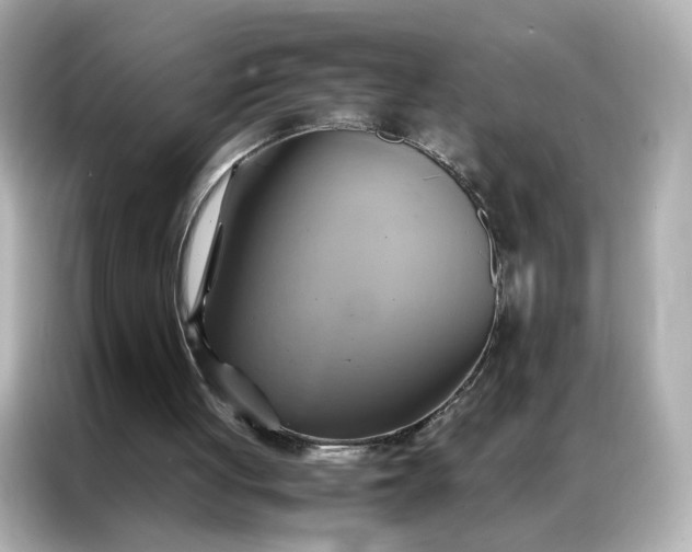 X0000086940051200704301145