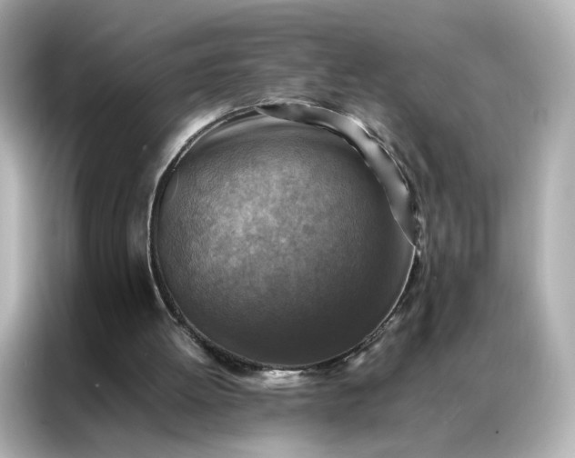 X0000086940052200704301145