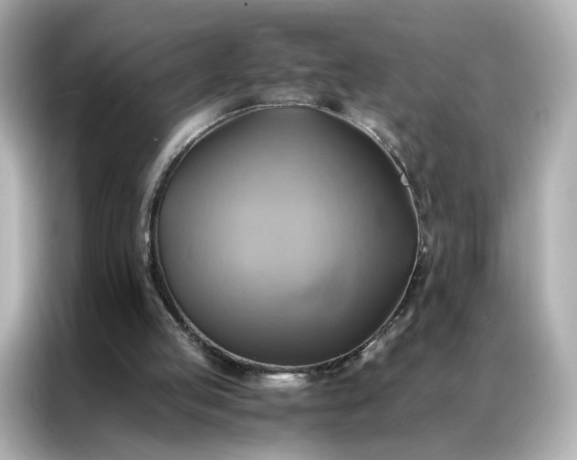 X0000086940053200704301145