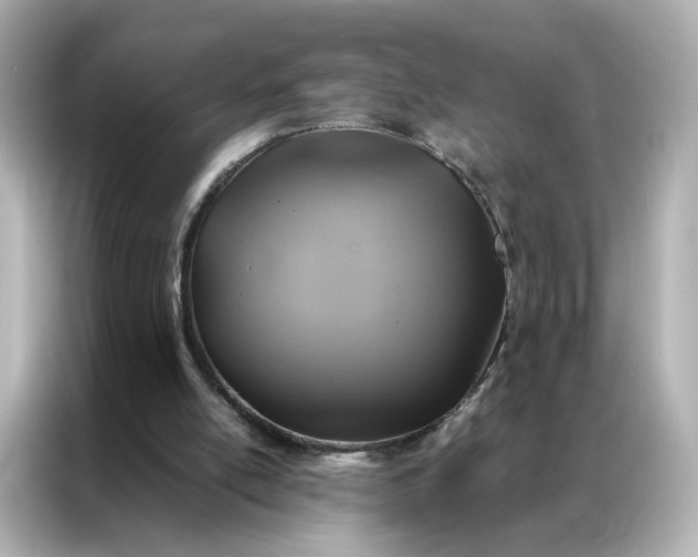 X0000086940054200704301145