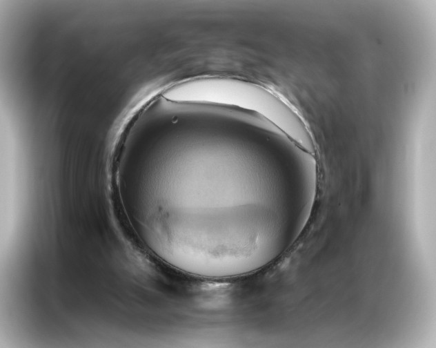 X0000086940055200704301145