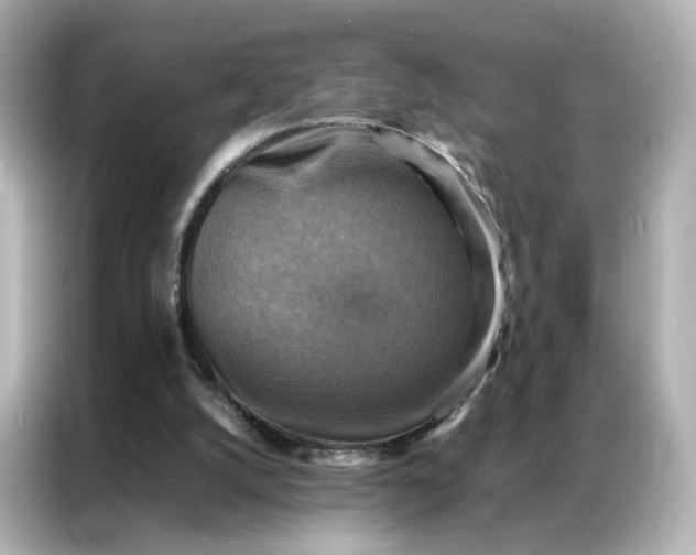 X0000086940056200704301145