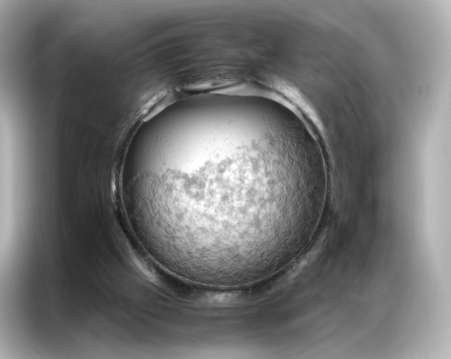 X0000086940057200704301145