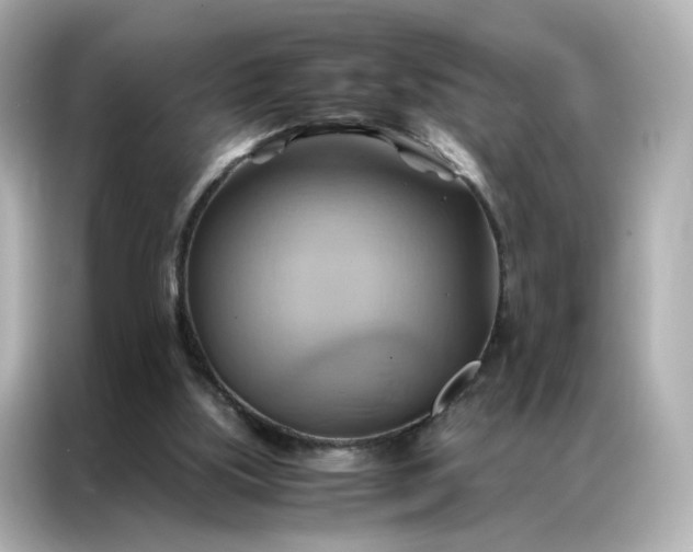 X0000086940059200704301145