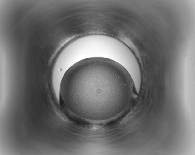 X0000086940060200704301145