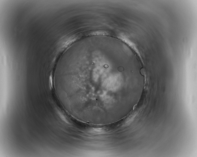 X0000086940061200704301145