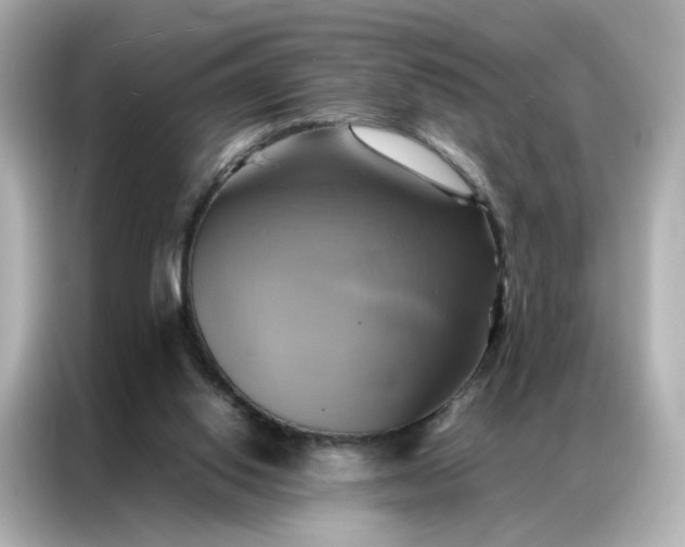 X0000086940062200704301145