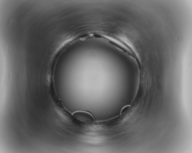 X0000086940063200704301145