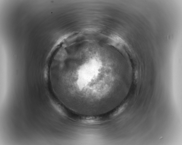 X0000086940064200704301145