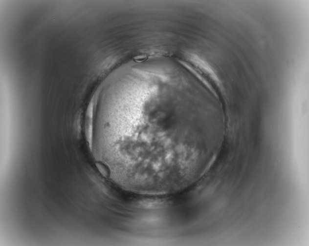 X0000086940065200704301145