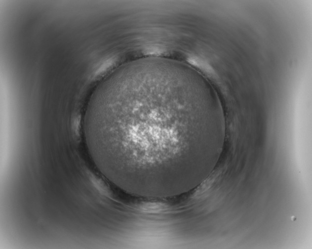 X0000086940066200704301145