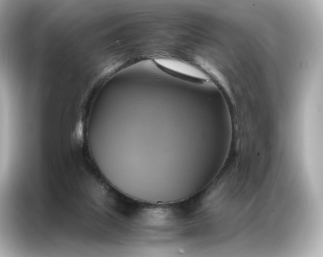 X0000086940067200704301145