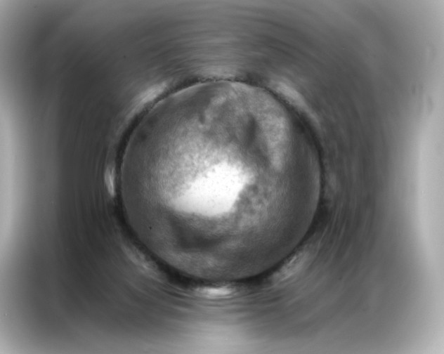 X0000086940068200704301145