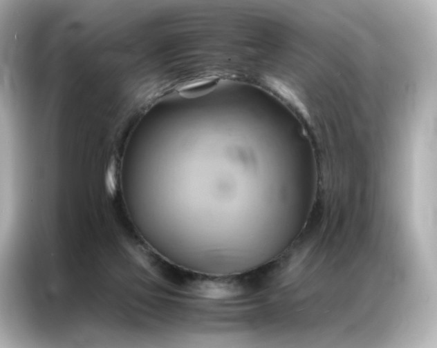 X0000086940069200704301145