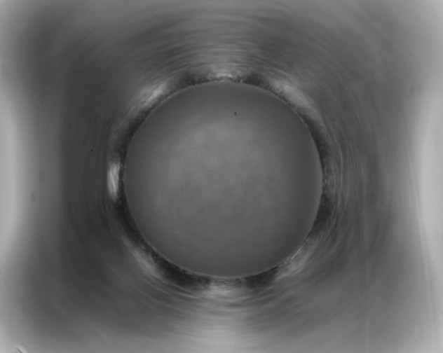 X0000086940070200704301145