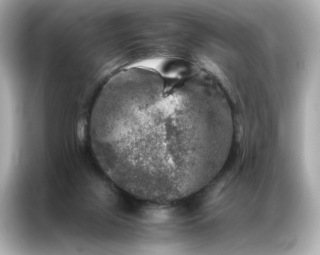 X0000086940071200704301145