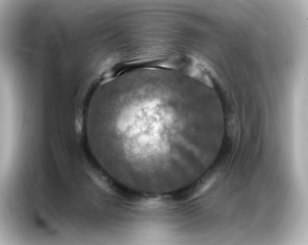 X0000086940072200704301145