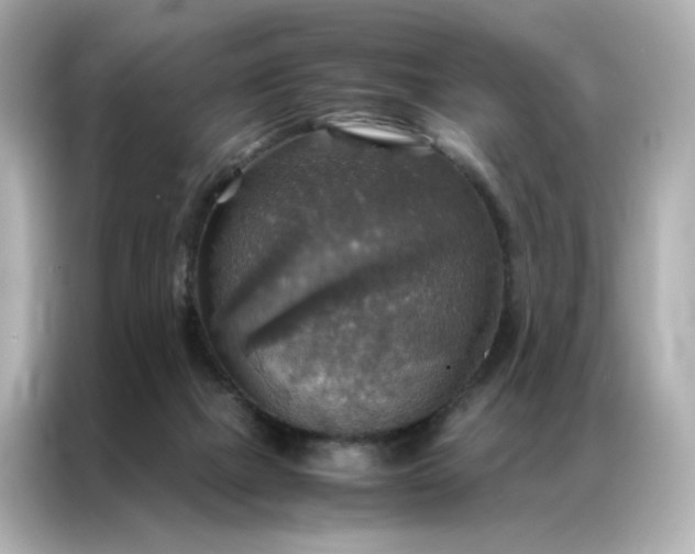 X0000086940073200704301145