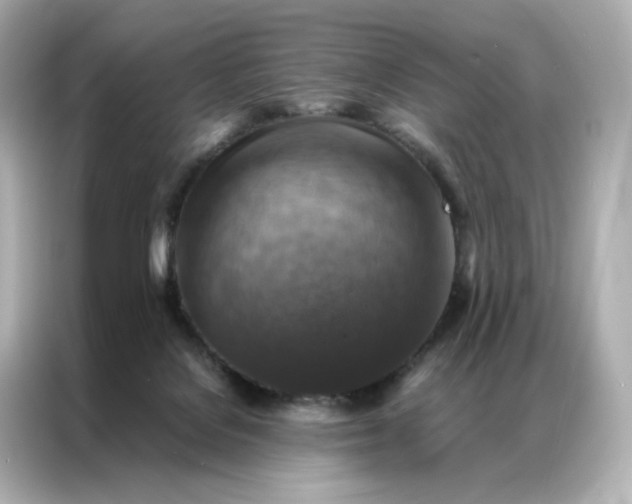 X0000086940076200704301145