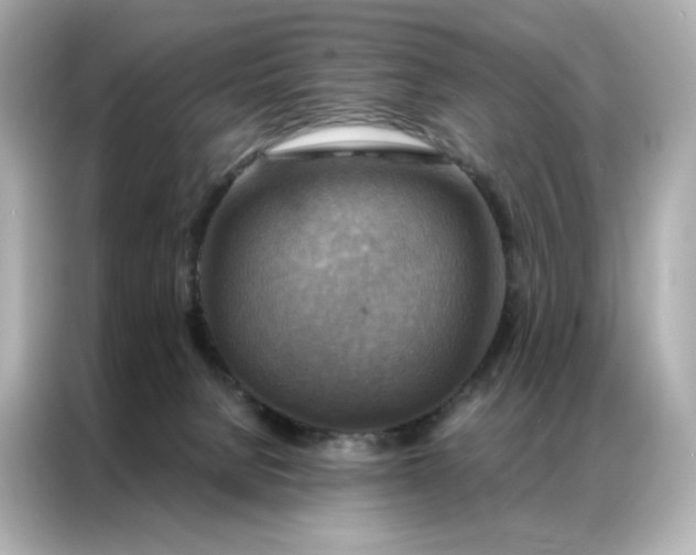 X0000086940080200704301145