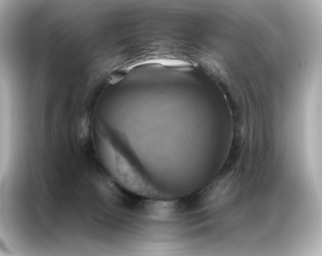 X0000086940081200704301145