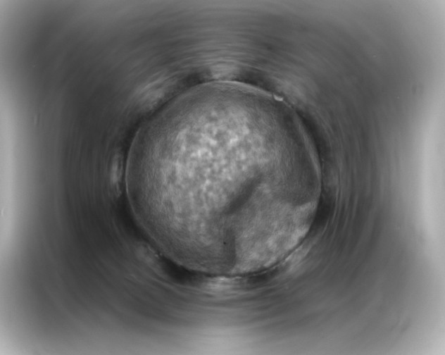 X0000086940082200704301145