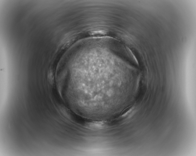 X0000086940086200704301146