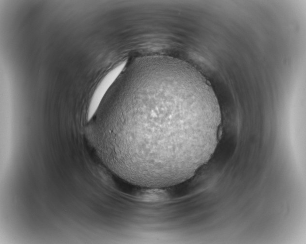 X0000086940087200704301146