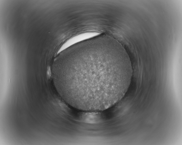 X0000086940089200704301146