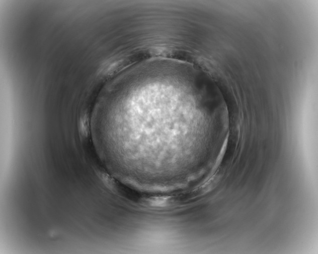 X0000086940090200704301146