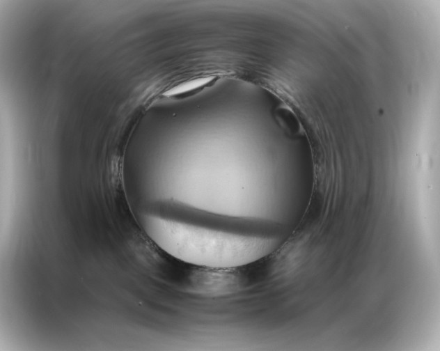 X0000086940093200704301146