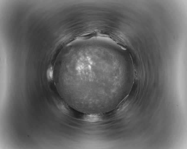 X0000086940095200704301146