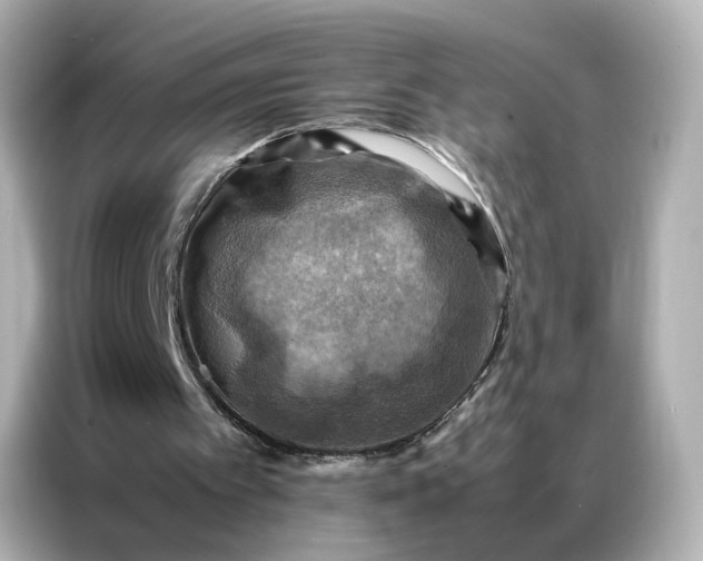 X0000086940097200704301145