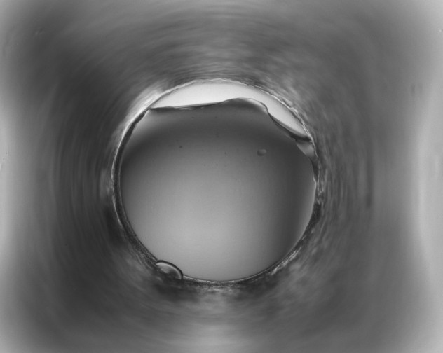 X0000086940099200704301145