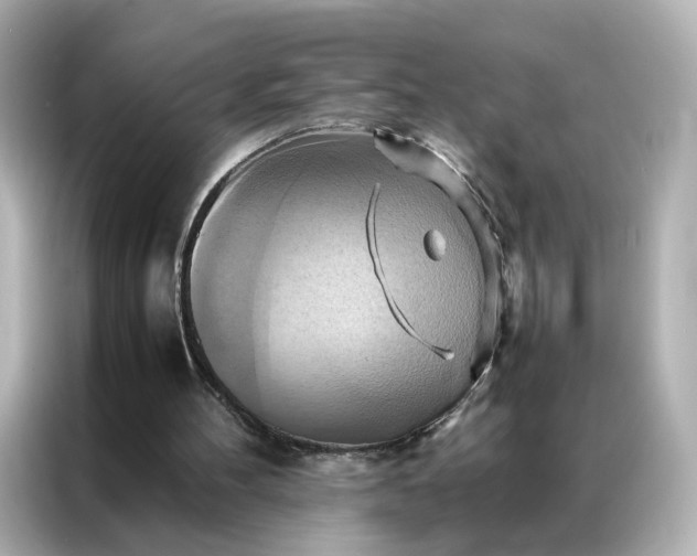 X0000086940100200704301145