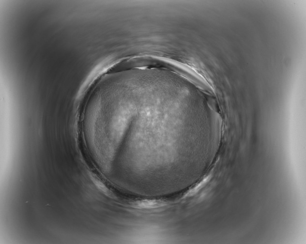 X0000086940101200704301145