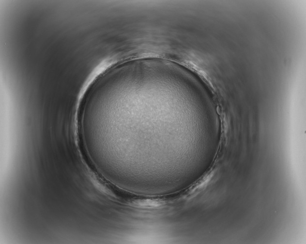 X0000086940102200704301145