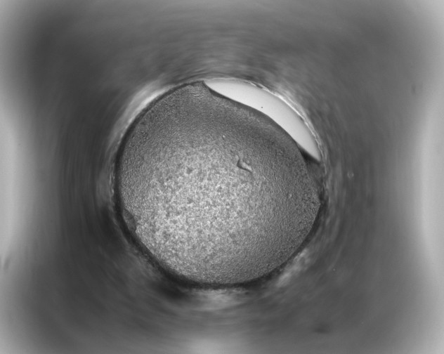 X0000086940103200704301145