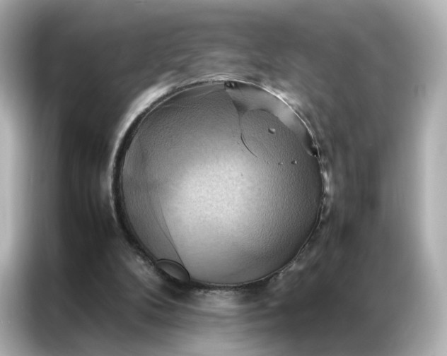 X0000086940104200704301145