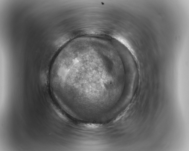 X0000086940105200704301145