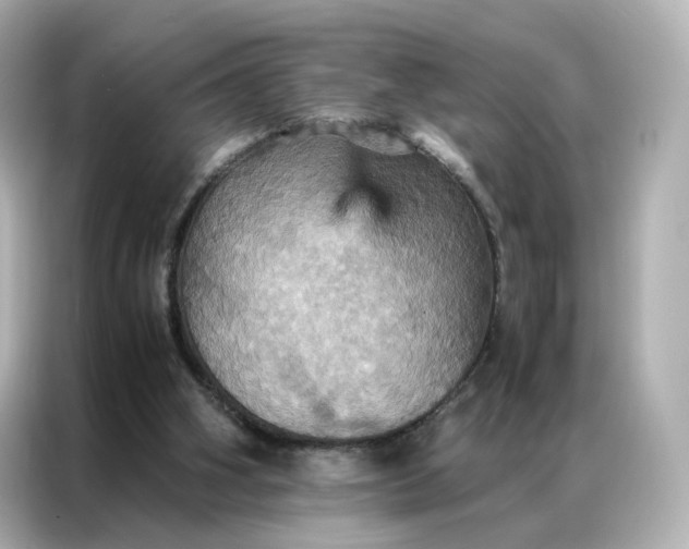 X0000086940106200704301145