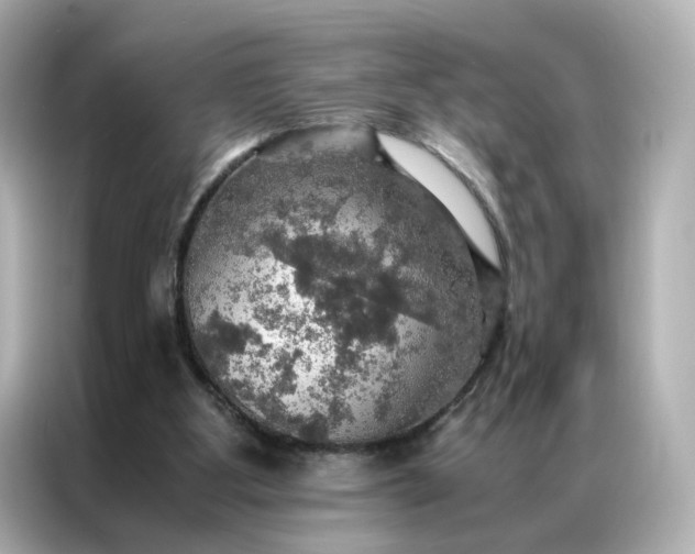 X0000086940107200704301145