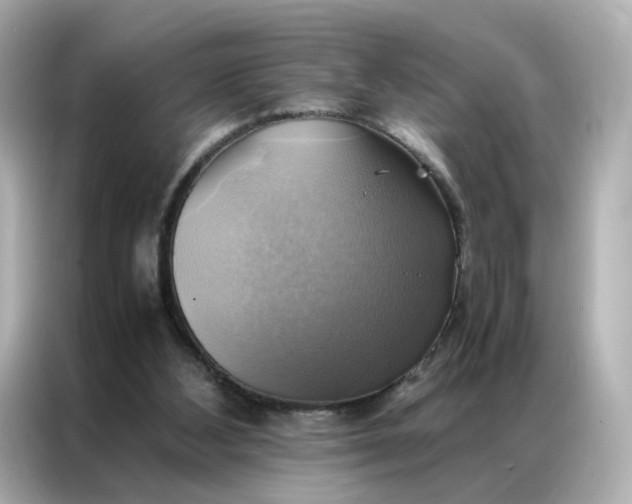 X0000086940108200704301145