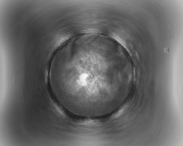 X0000086940109200704301145