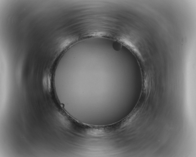 X0000086940110200704301145