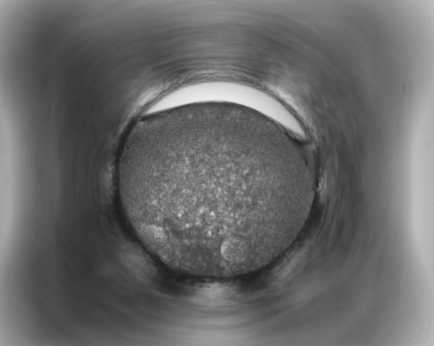 X0000086940111200704301145