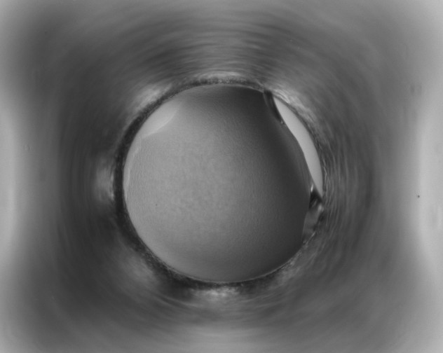 X0000086940112200704301145