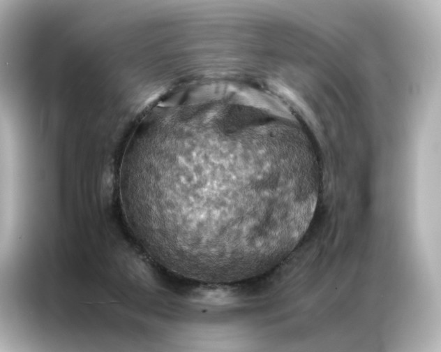 X0000086940113200704301145