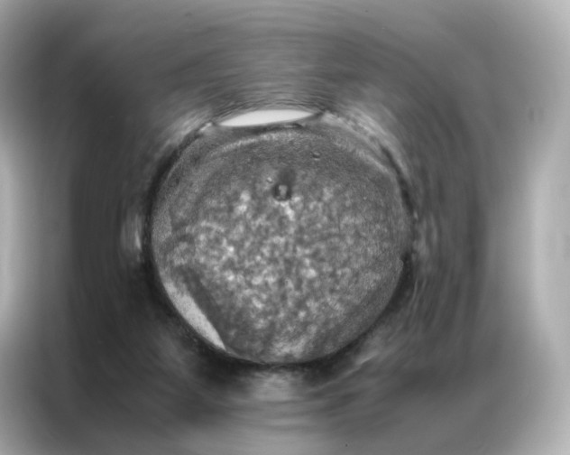 X0000086940115200704301145