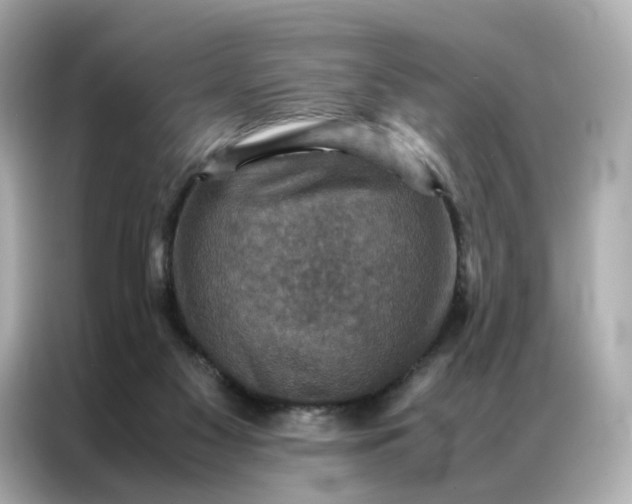 X0000086940117200704301145